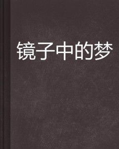 第二章：镜子里的另一个自己