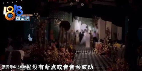 深夜森林里那诡异的哭声，难道不是在警告小兔子不敢回家吗？