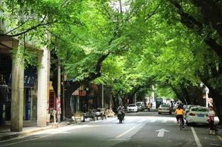 较深度感受的历史持续发展韵味吗？