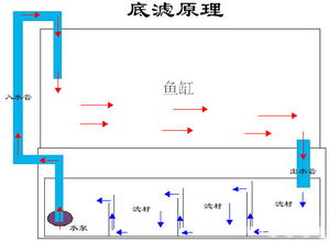 魚缸變成「定時炸彈」：這些擺放禁忌千萬別碰