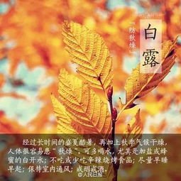 二、秋祭月