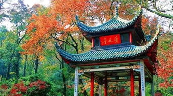 特色按摩，一场身心愉悦的享受