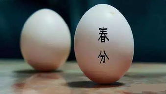 最有意思的是竖蛋