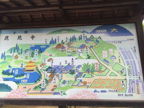 3. 京者阝金阁寺：金光闪闪的诱惑