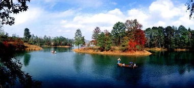 浑南区姚千镇，自驾游的坑与乐