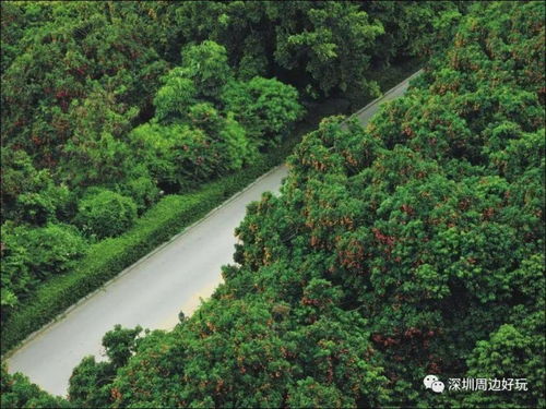 设施：穿越回90年代