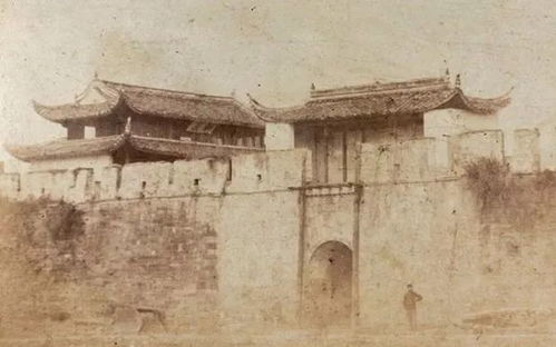 三、文物保护：守护历史的灵魂