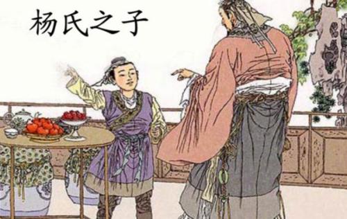 杨姓命名文化底蕴中，杨姓的含义和寓意有哪些较深意？