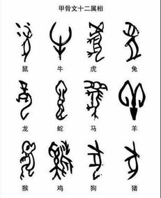 汉字是什么生肖，嫩为哪个生肖的？