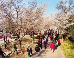 周边乱象：小区、 路边、甚至还有“黄牛”