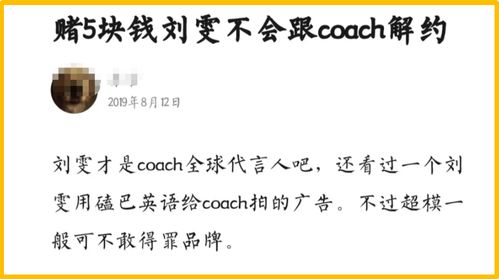 八、或着说是废话文学