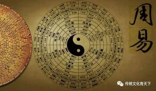 夬卦的智慧