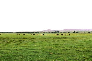 1. 交通运输指南：