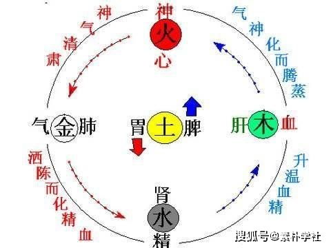 木火金水命格中蕴含的五行玄机究竟有何奥秘？