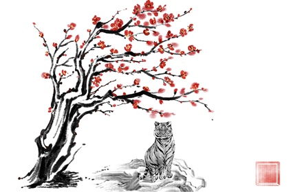 健康状况