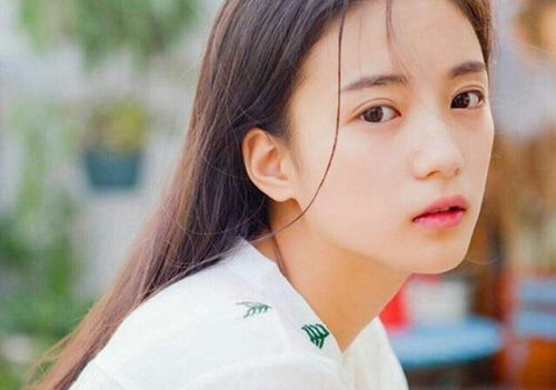 案例分析：鹅蛋脸与杏眼