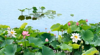 那些不为人知的细节