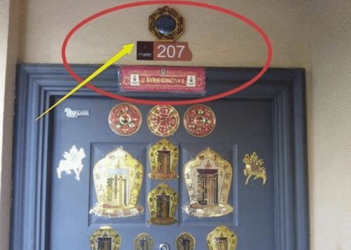 窗外有镜子？心脏要骤停！