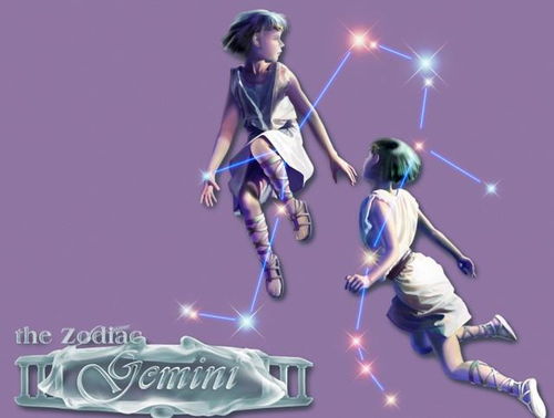 双子座：精分患者的幸福生活