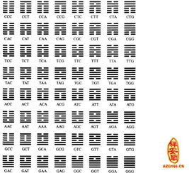 风水是周易的分支,风水属于易经