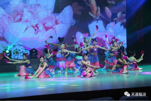 “藏舞盛宴：新年传承欢乐爆款秀”