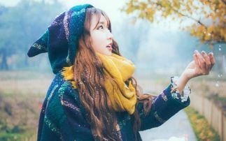 十二生肖的噩梦：谁在劫难逃？