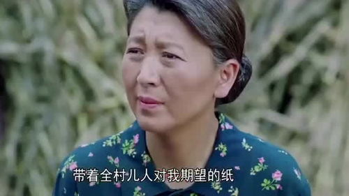 兰桐花开5集,兰桐花开5集