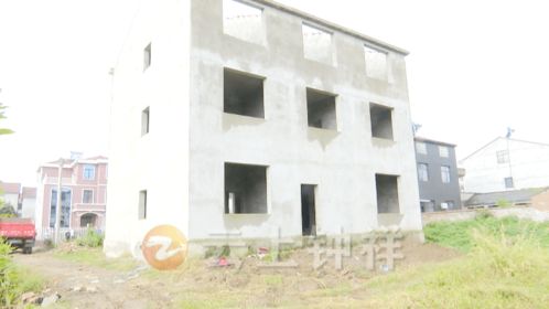 三、 违章建筑判定：律法与规范