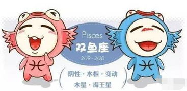 婚姻中的星座玄学