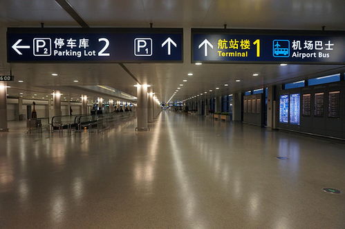 四、 文化底蕴角落：老上海风情体验