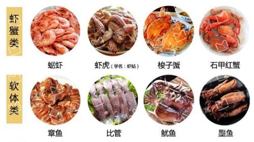 附近美食？我的胃可不答应