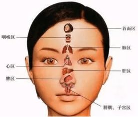 面容的保密：五行与命运的纠缠
