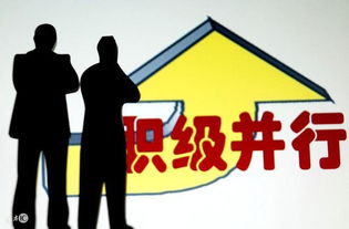 三、职业持续发展——升职？晋升？还是原地踏步？