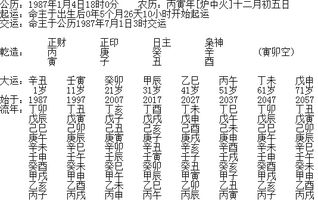 案例解析：从实战中汲取智慧