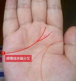 手相大全中，人缘最佳的双重性格者手相特征有哪些？