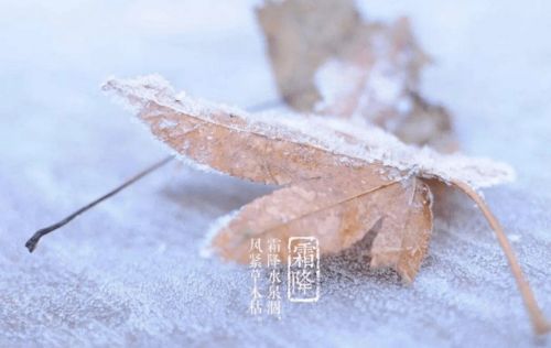 霜降婚礼准备事项