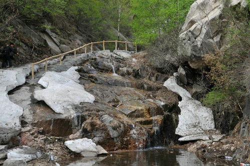 动物园奇遇记：到底是人看动物还是动物看人？