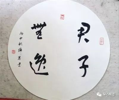 震惊！2026年这些痣会改变你的命运轨迹