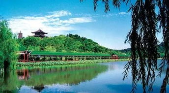 五、“东方度虚虚假” 区: 更多元文化底蕴的交融点