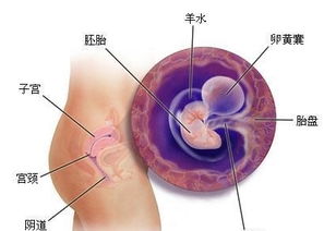 二、 从我的亲身经历聊聊