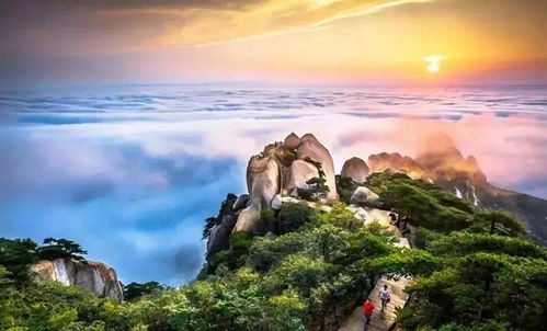 致命陷阱二：山上民宿是智商税重灾区