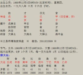 当官？不如去卖烤红薯！