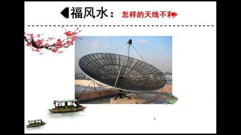 风水玄学：摆个花瓶就能找到对象？