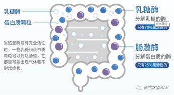 揭秘五行与命运的关系