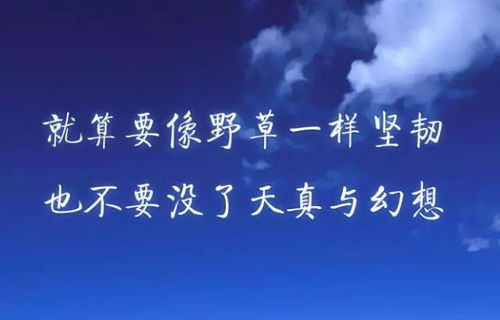 那一些关于心灵鸡汤的话术