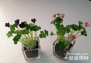  招  财  ！