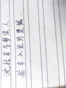 如何用诗句创意命名，打造独特名字生成器？