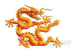 1976年属龙的人猴年总运程