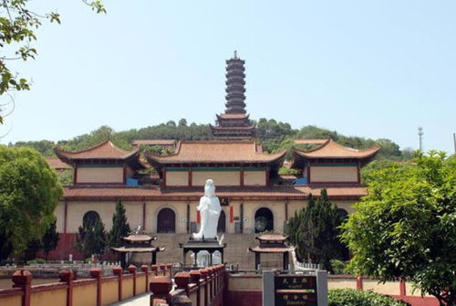 第四章：虎跑寺—出家之始与艺术创作人生