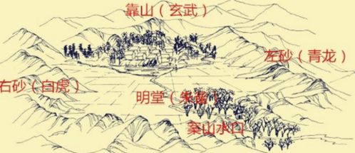 一、气之乱舞——风水里的“活气”到底是啥玩意儿？